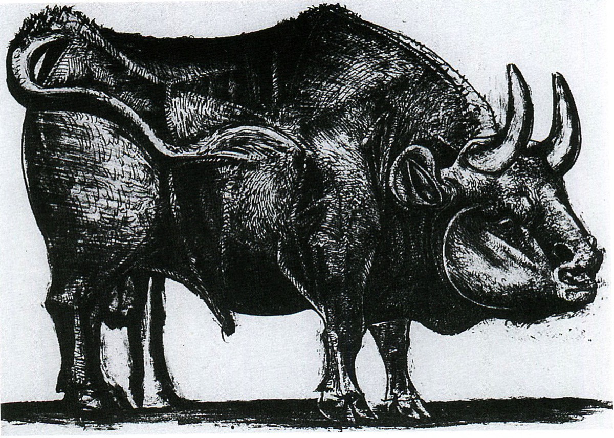 Fig 4 - Pablo Picasso Taureau 1945 lithographie
